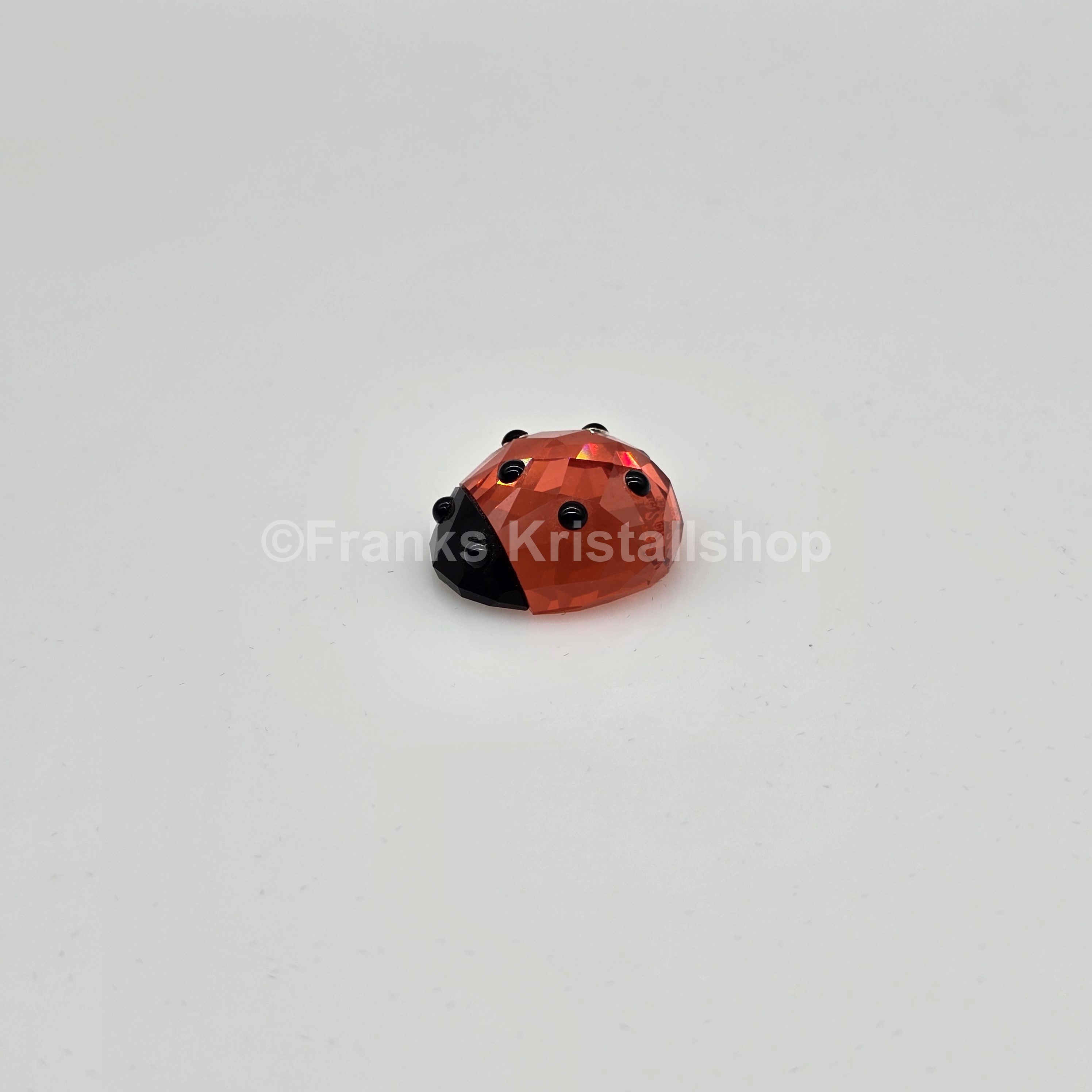 SWAROVSKI Lucky Ladybird Marienkäfer 1054587