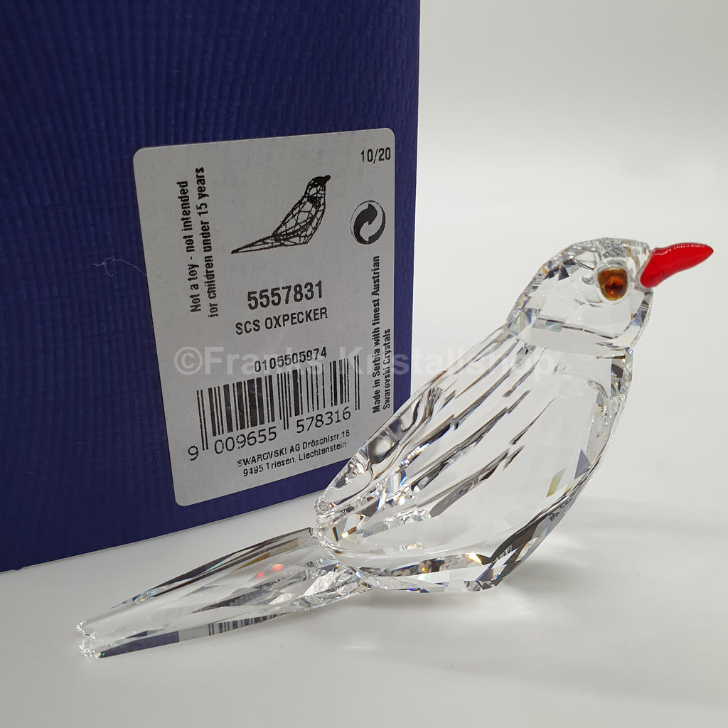 SWAROVSKI SCS Jahresfigur 2021 Madenhacker Vogel Eventfigur 5557831
