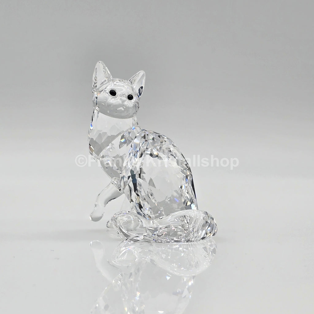 SWAROVSKI Maine Coon Katze 5135919 oU