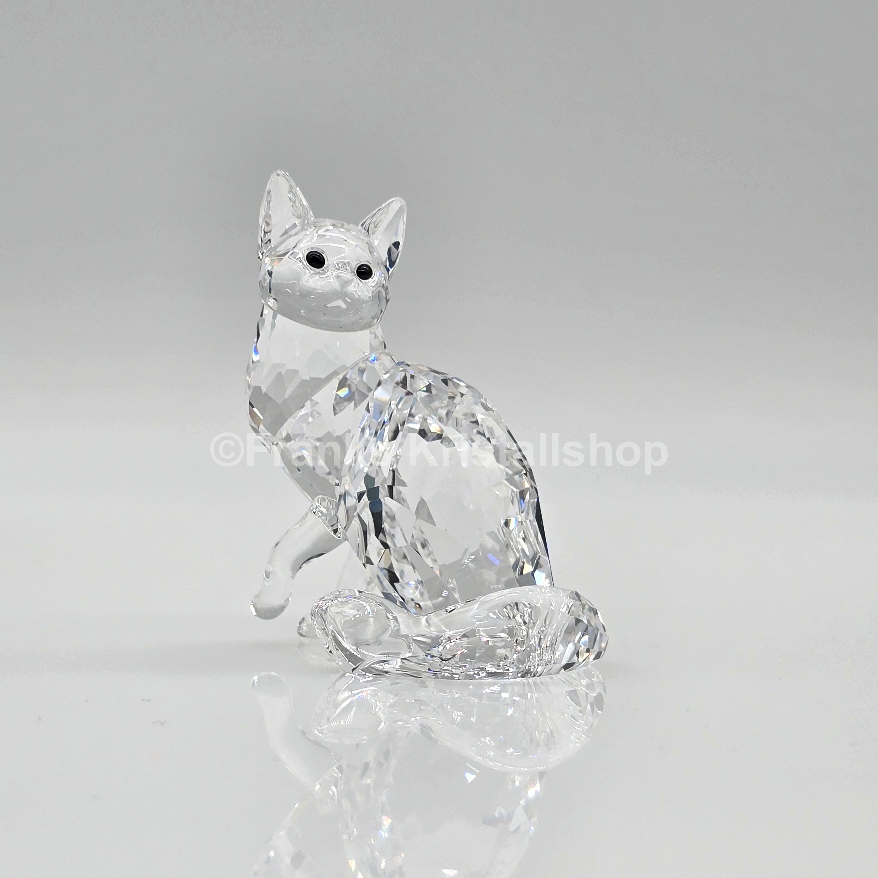 SWAROVSKI Maine Coon Katze 5135919 oU