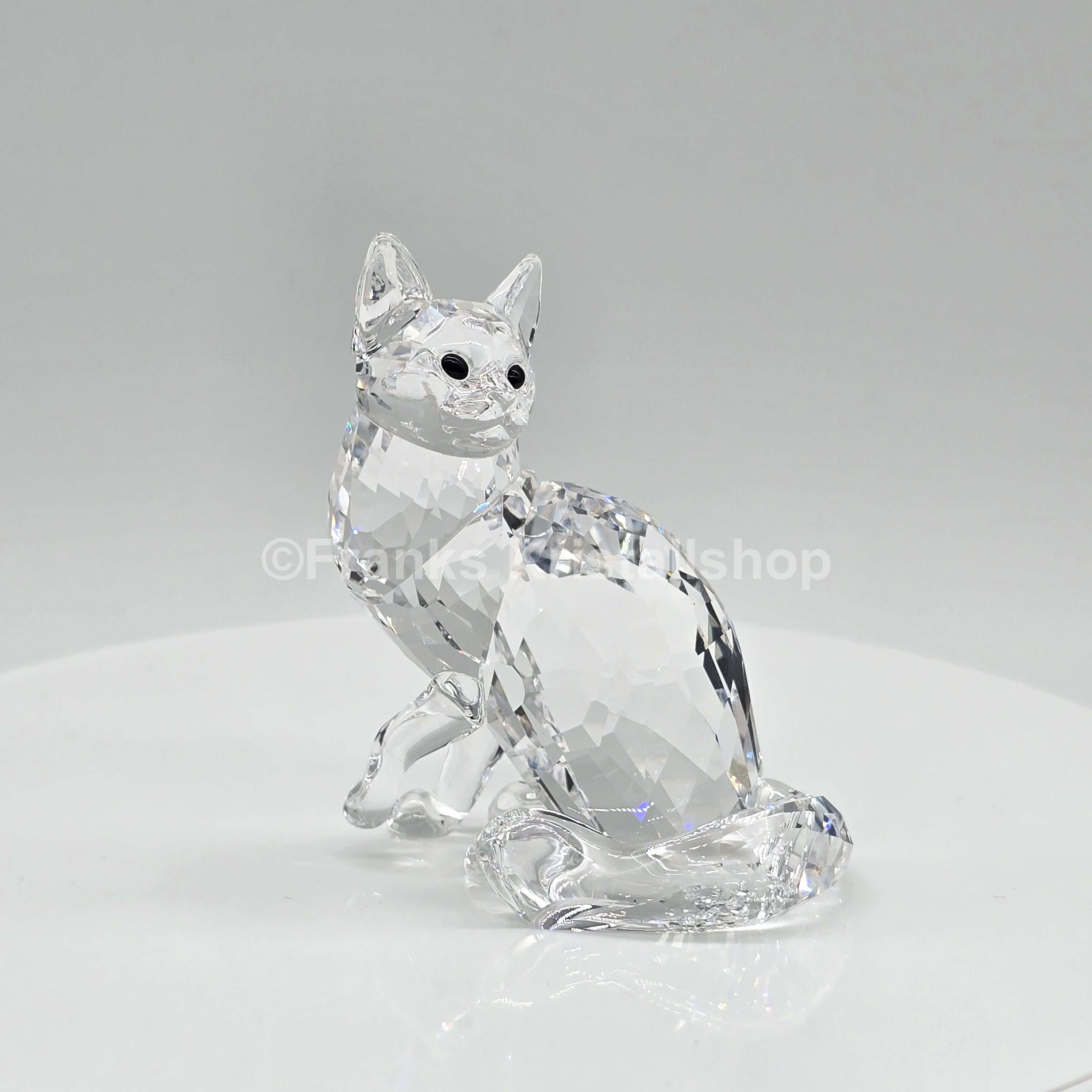 SWAROVSKI Maine Coon Katze 5135919 oU – Franks Kristall Shop