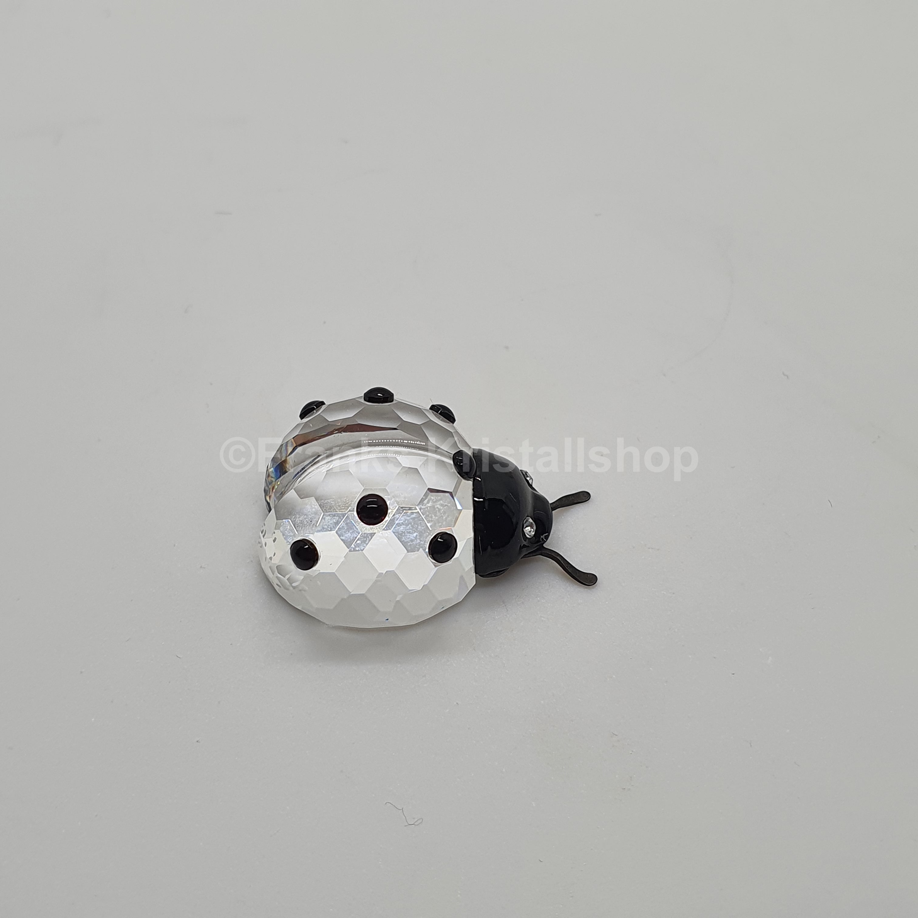 SWAROVSKI Marienkäfer 190858
