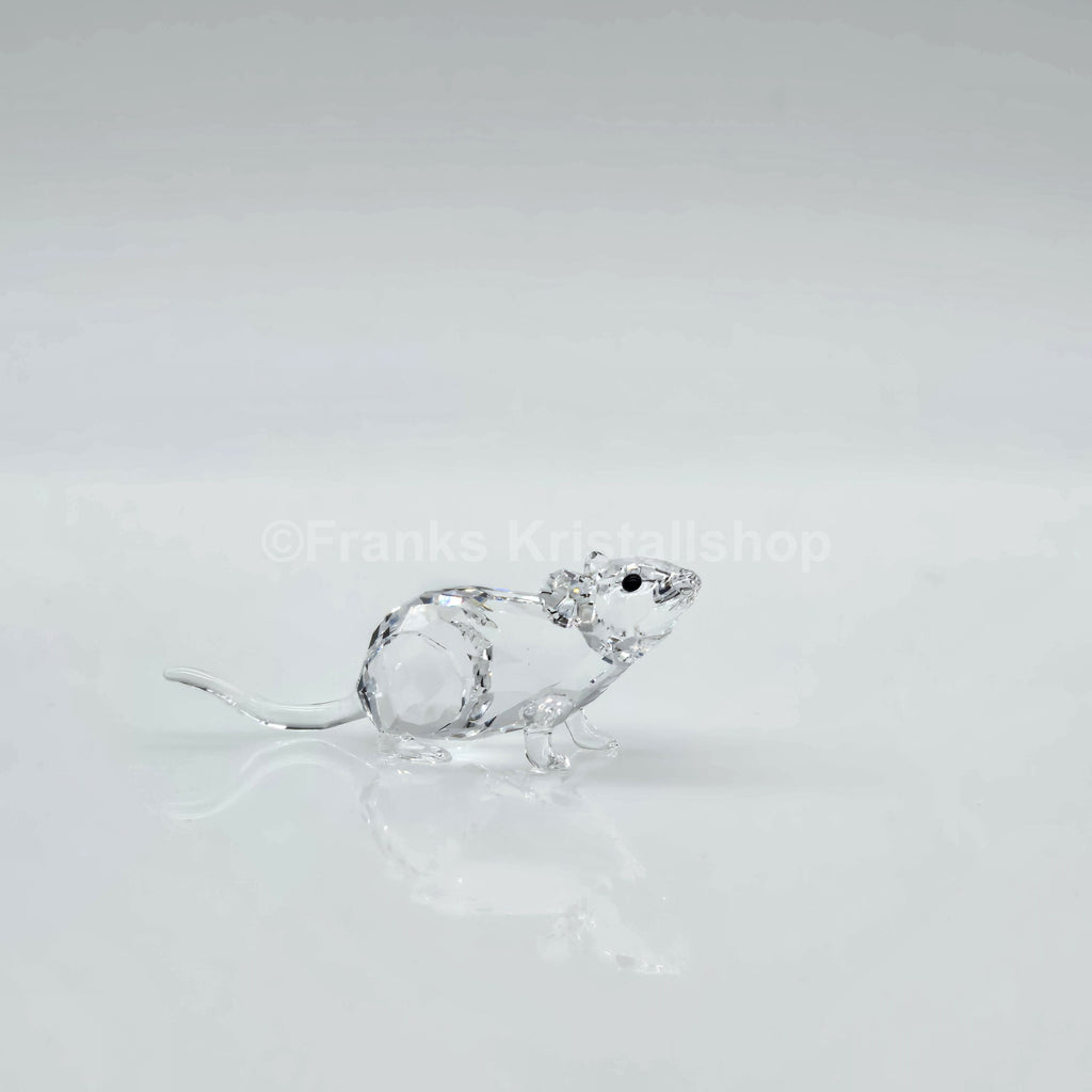 SWAROVSKI Maus 5266819