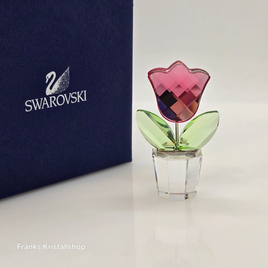 SWAROVSKI Blumenträume Blumentopf Tulpe Rosa Pink 657111