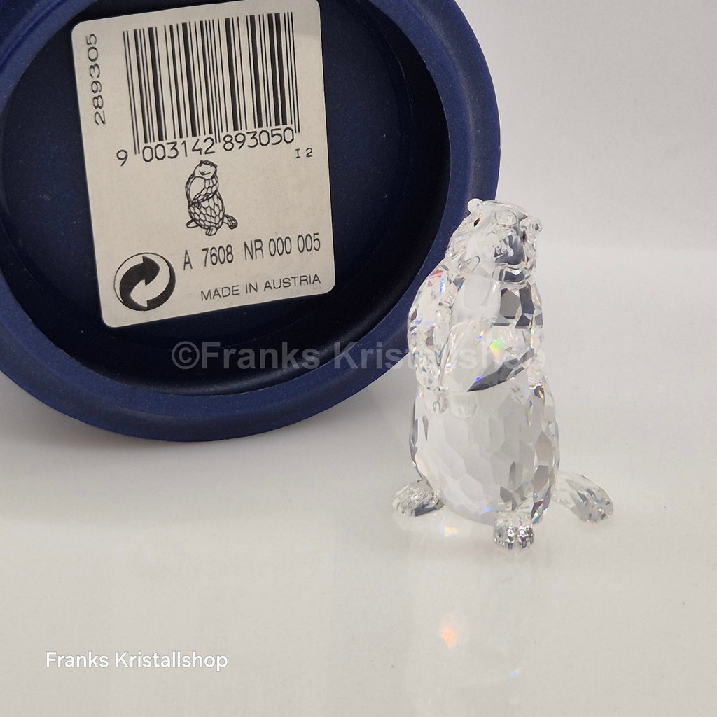 SWAROVSKI Murmeltier 289305