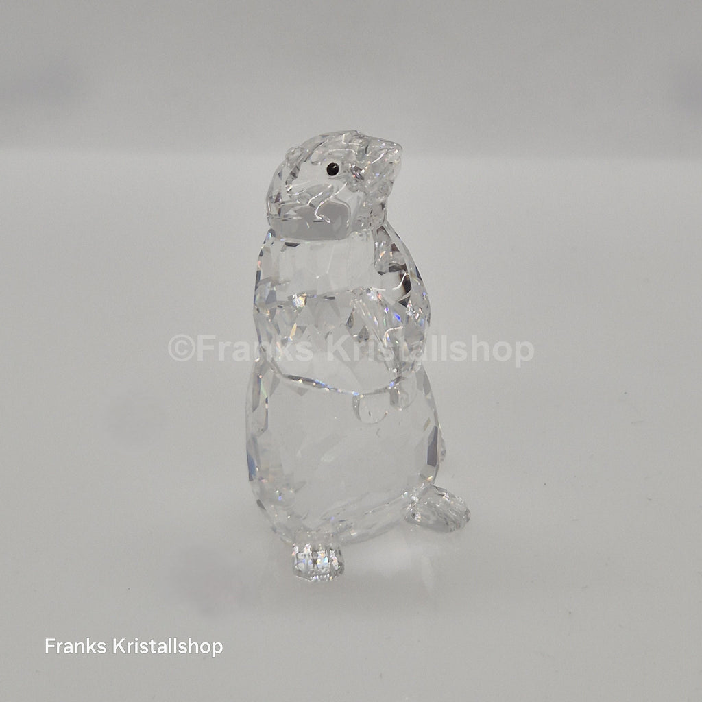 SWAROVSKI Murmeltier 289305