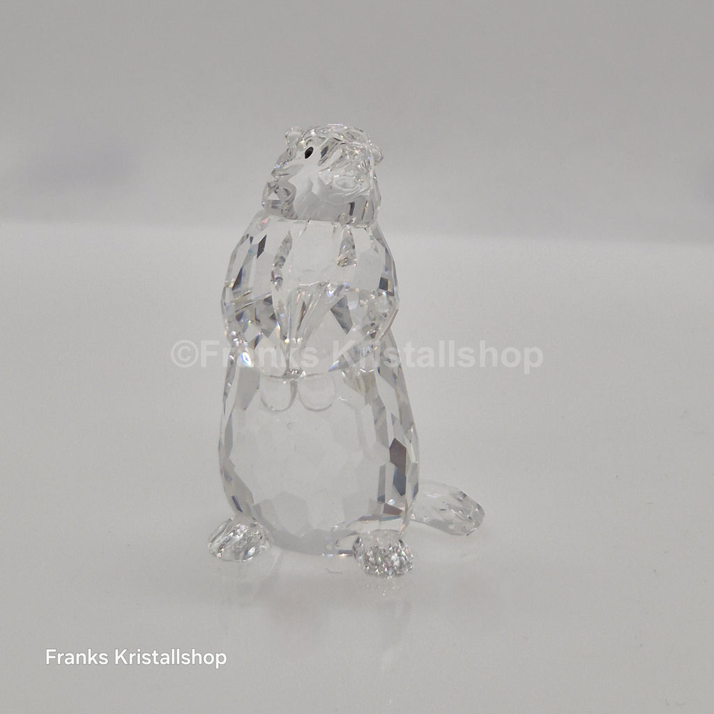 SWAROVSKI Murmeltier 289305