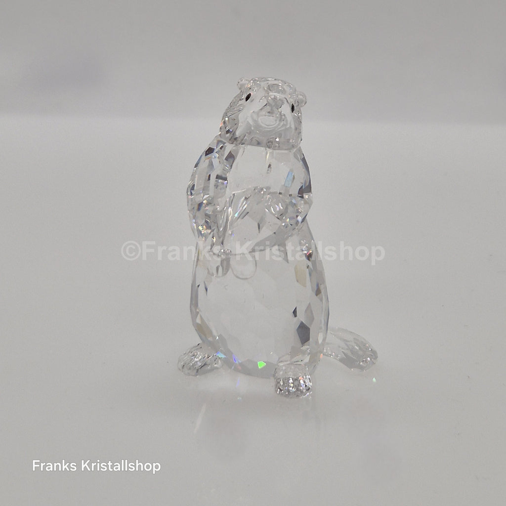SWAROVSKI Murmeltier 289305