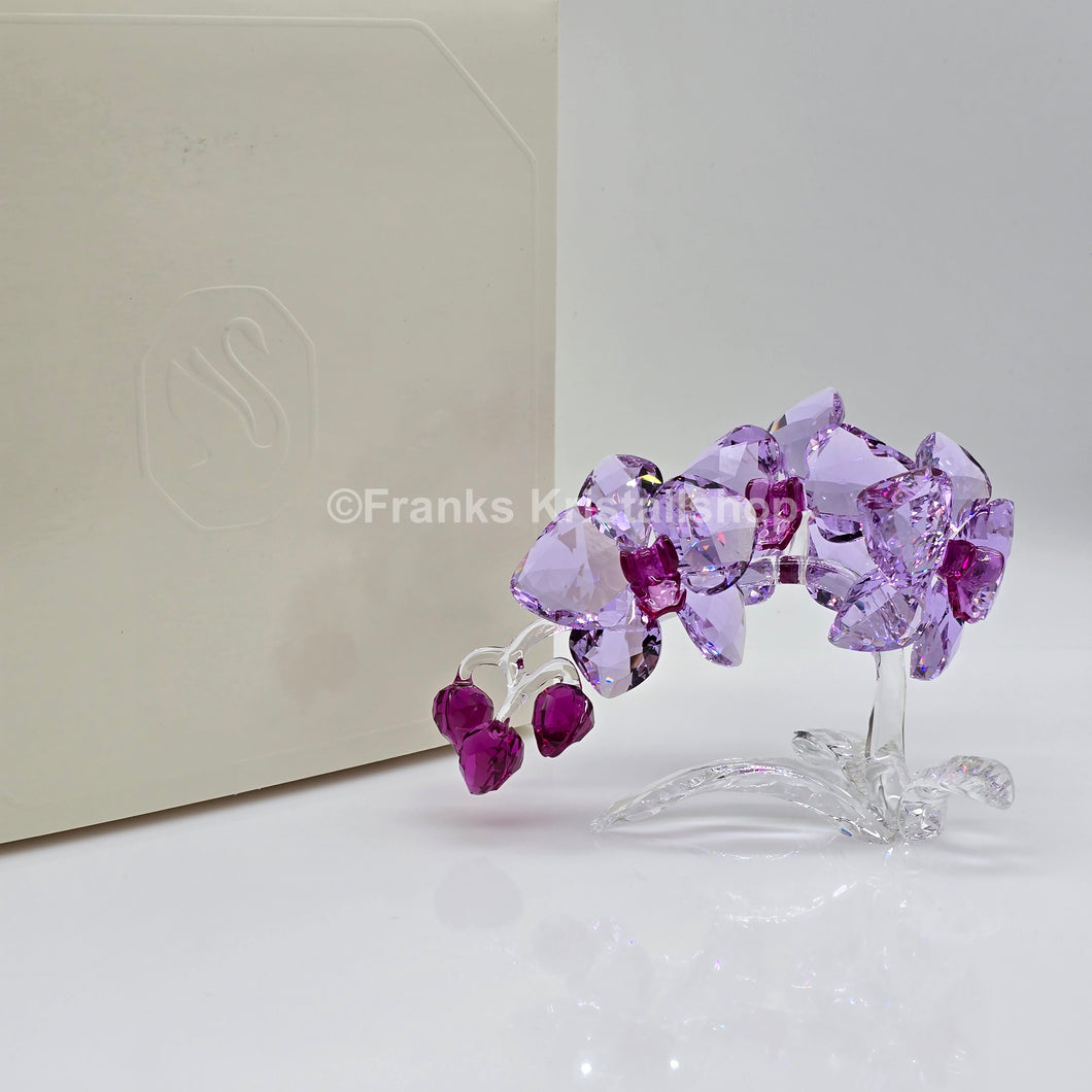 SWAROVSKI Orchidee 5520373