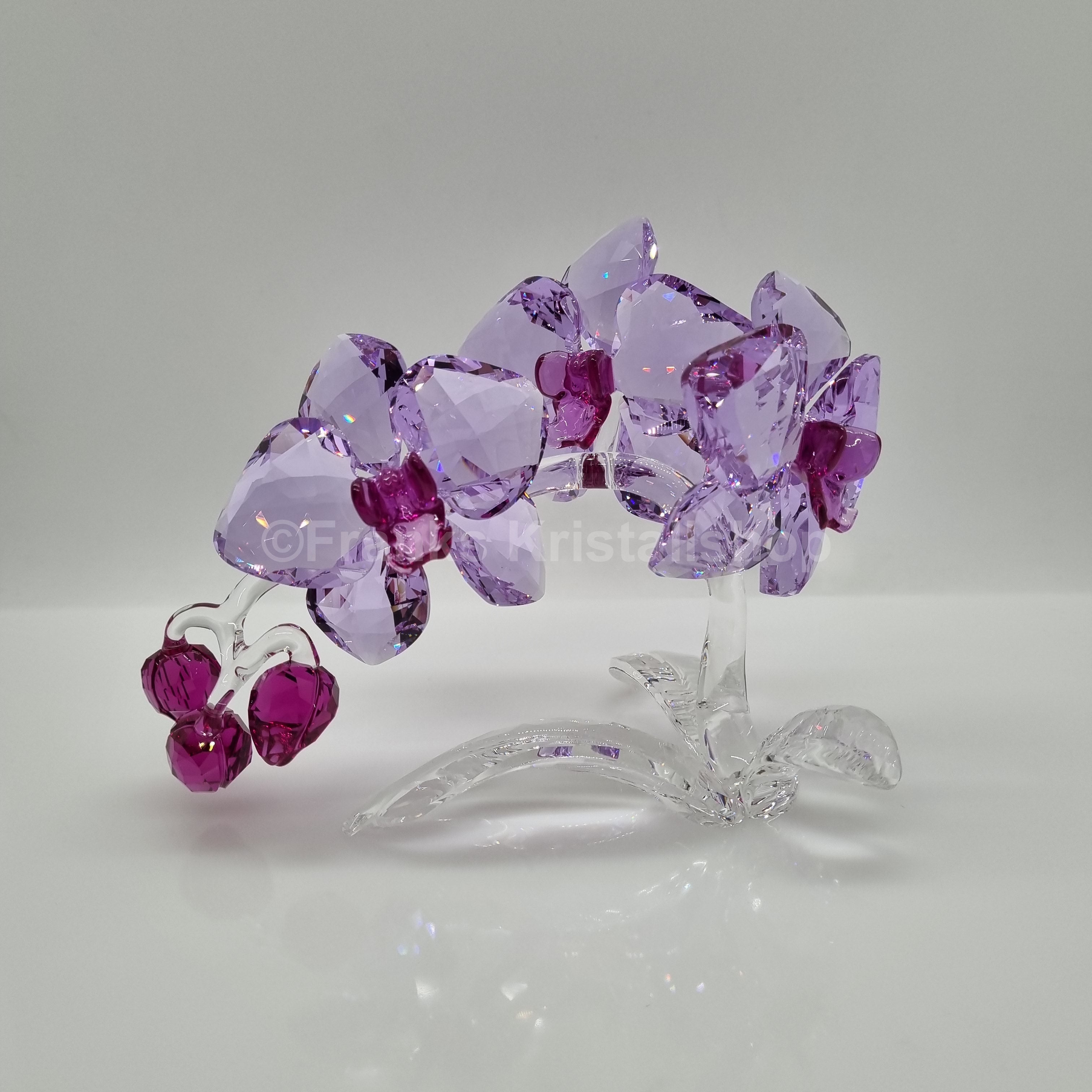 SWAROVSKI Orchidee 5520373