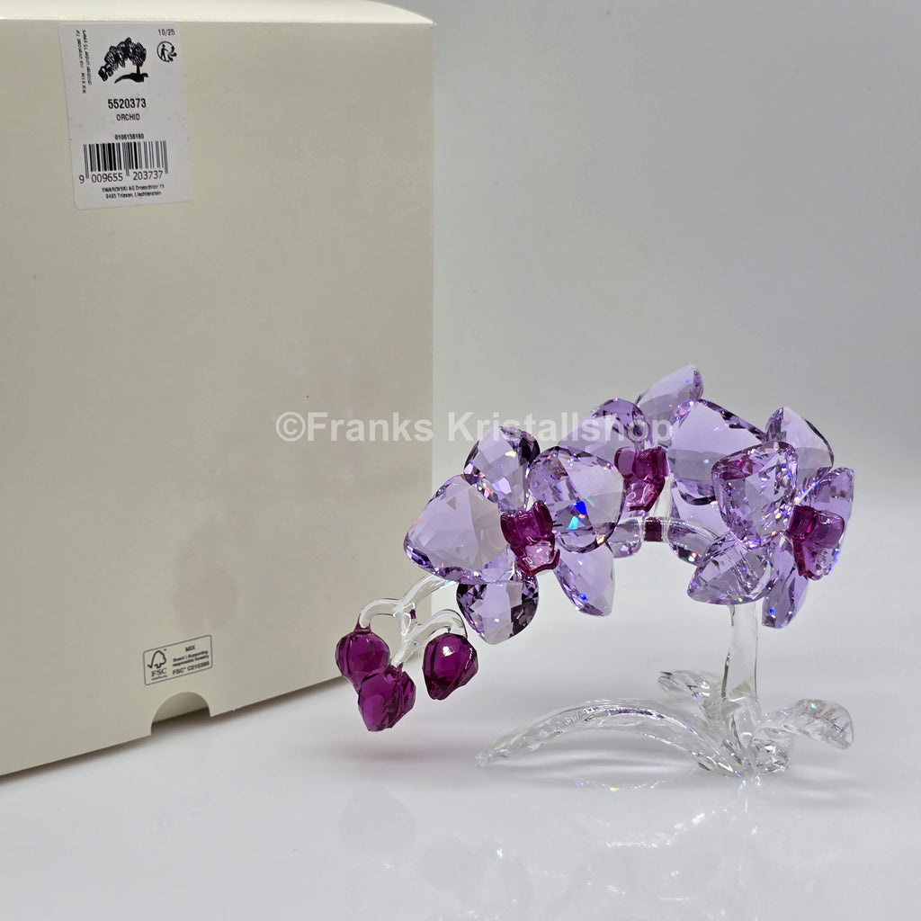 SWAROVSKI Orchidee 5520373