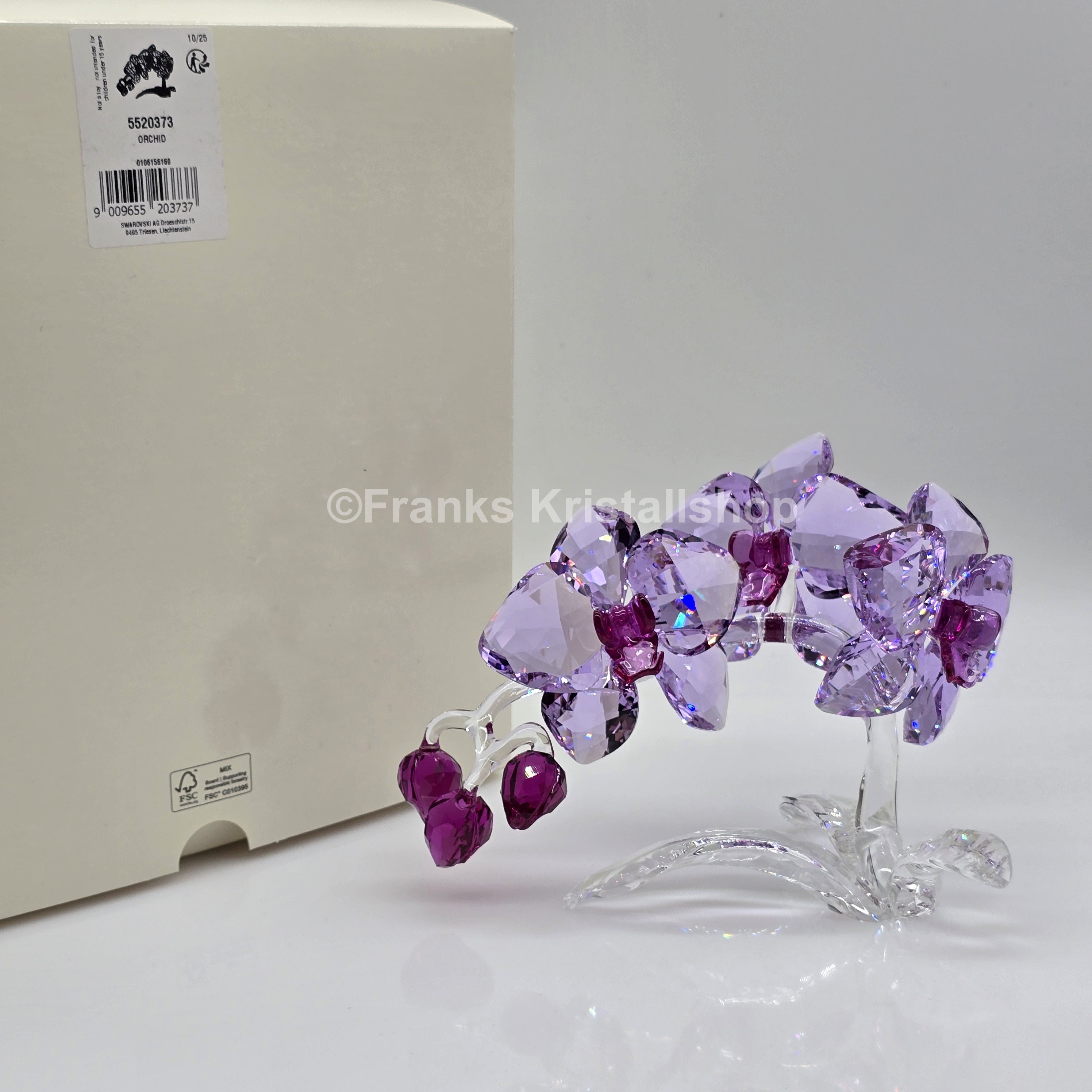 SWAROVSKI Orchidee 5520373