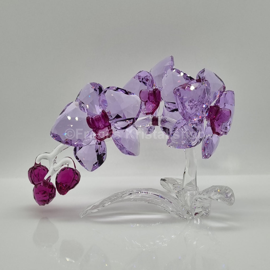 SWAROVSKI Orchidee 5520373
