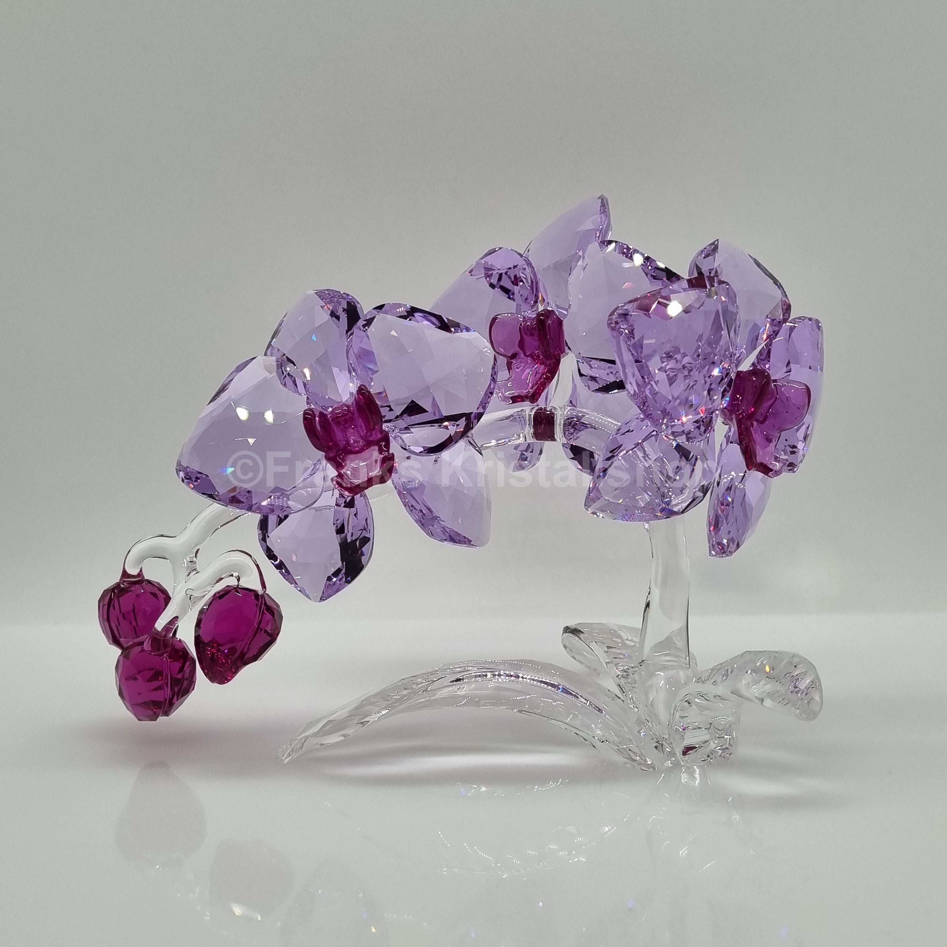 SWAROVSKI Orchidee 5520373
