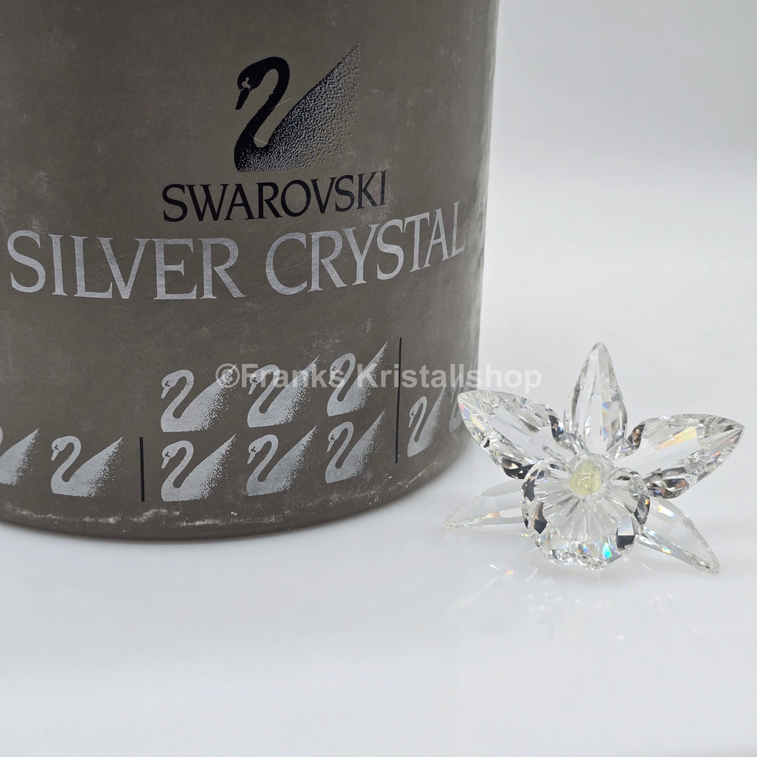 SWAROVSKI Orchidee Hellgelb 200280 AV