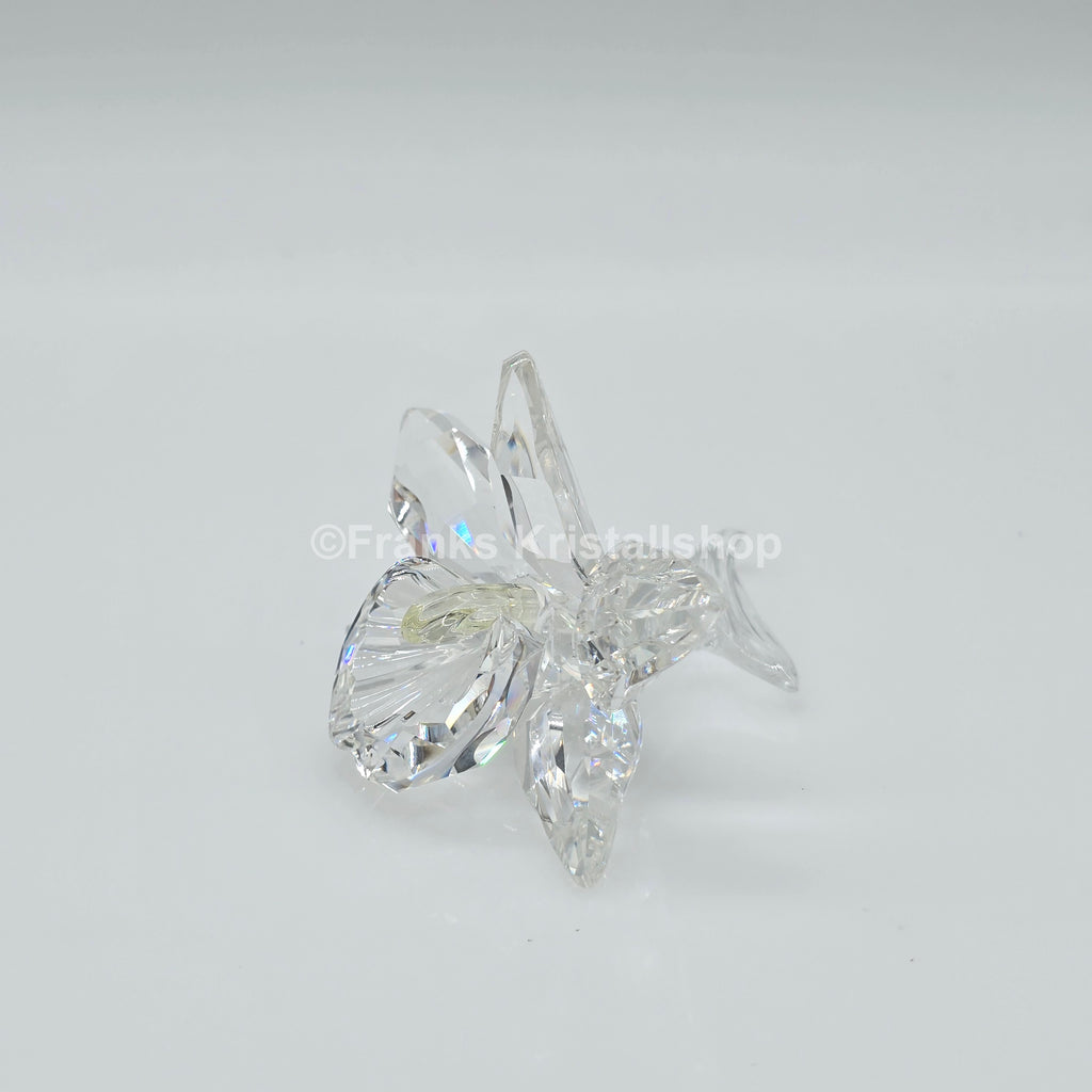 SWAROVSKI Orchidee Hellgelb 200280