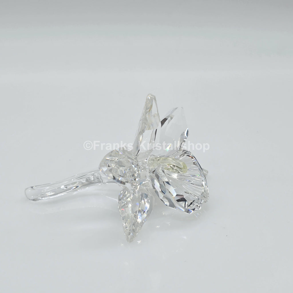 SWAROVSKI Orchidee Hellgelb 200280