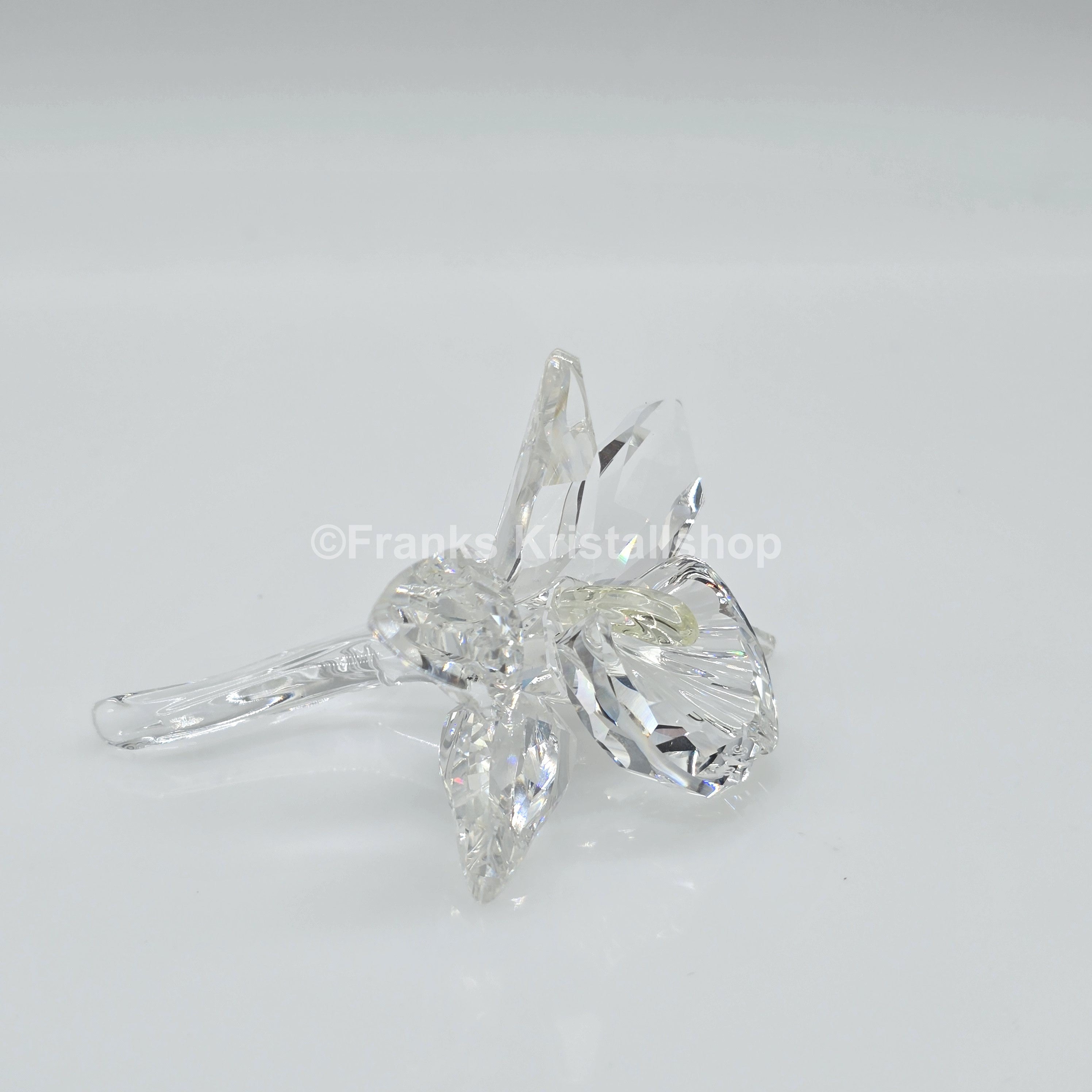 SWAROVSKI Orchidee Hellgelb 200280
