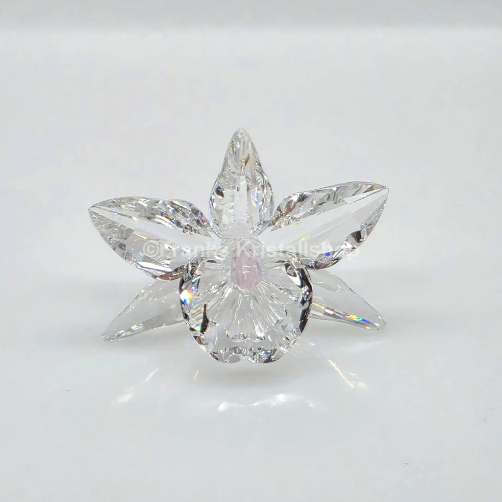 SWAROVSKI Orchidee Pink 200287 Variante 1 (Ultra Hellrosa)
