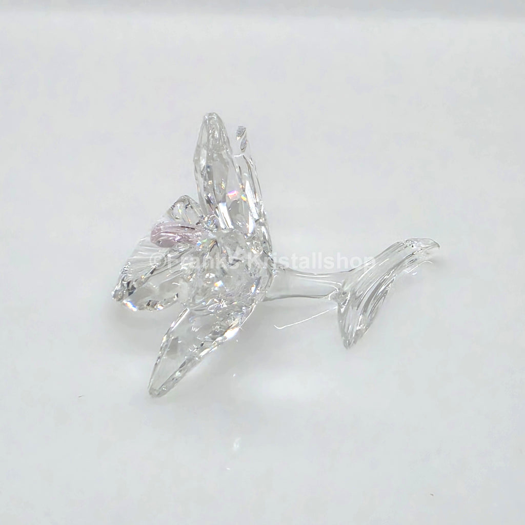 SWAROVSKI Orchidee Pink 200287 Variante 1 (Ultra Hellrosa)