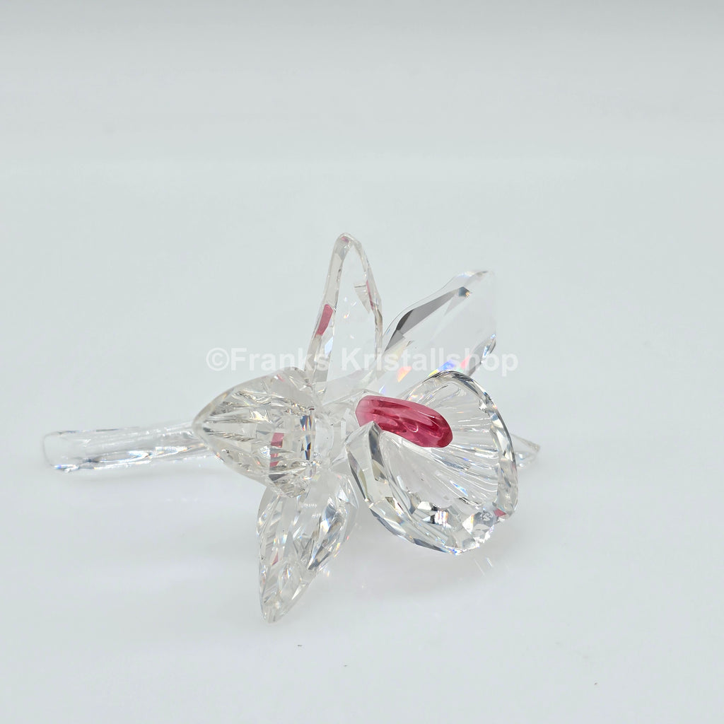 SWAROVSKI Orchidee Pink 200287  Variante 3