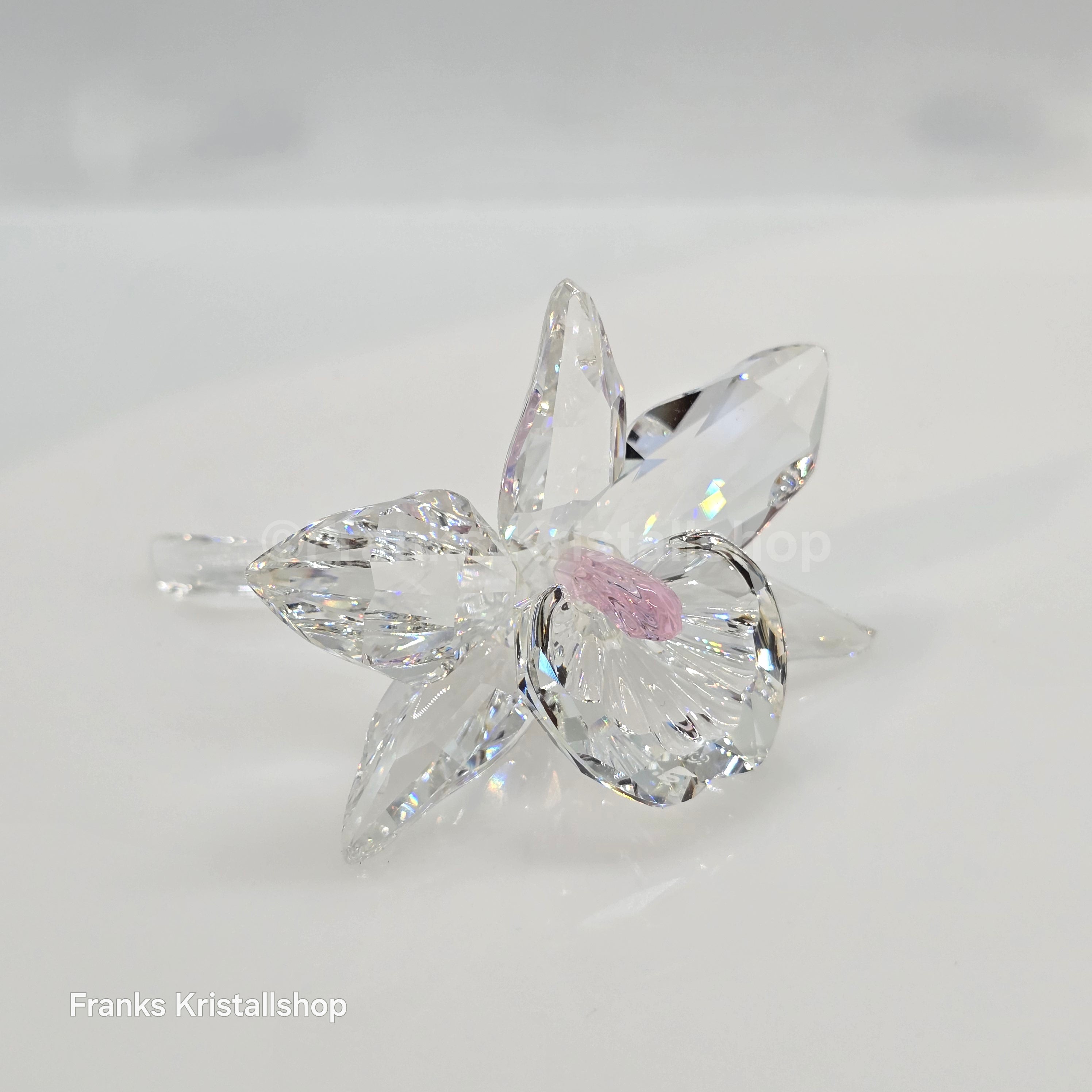SWAROVSKI Orchidee Pink 200287 Variante 2 (Hellrosa)