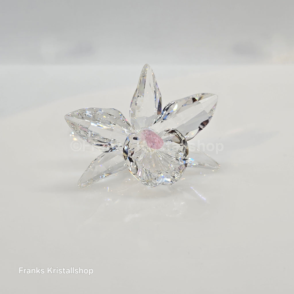SWAROVSKI Orchidee Pink 200287 Variante 2 (Hellrosa)