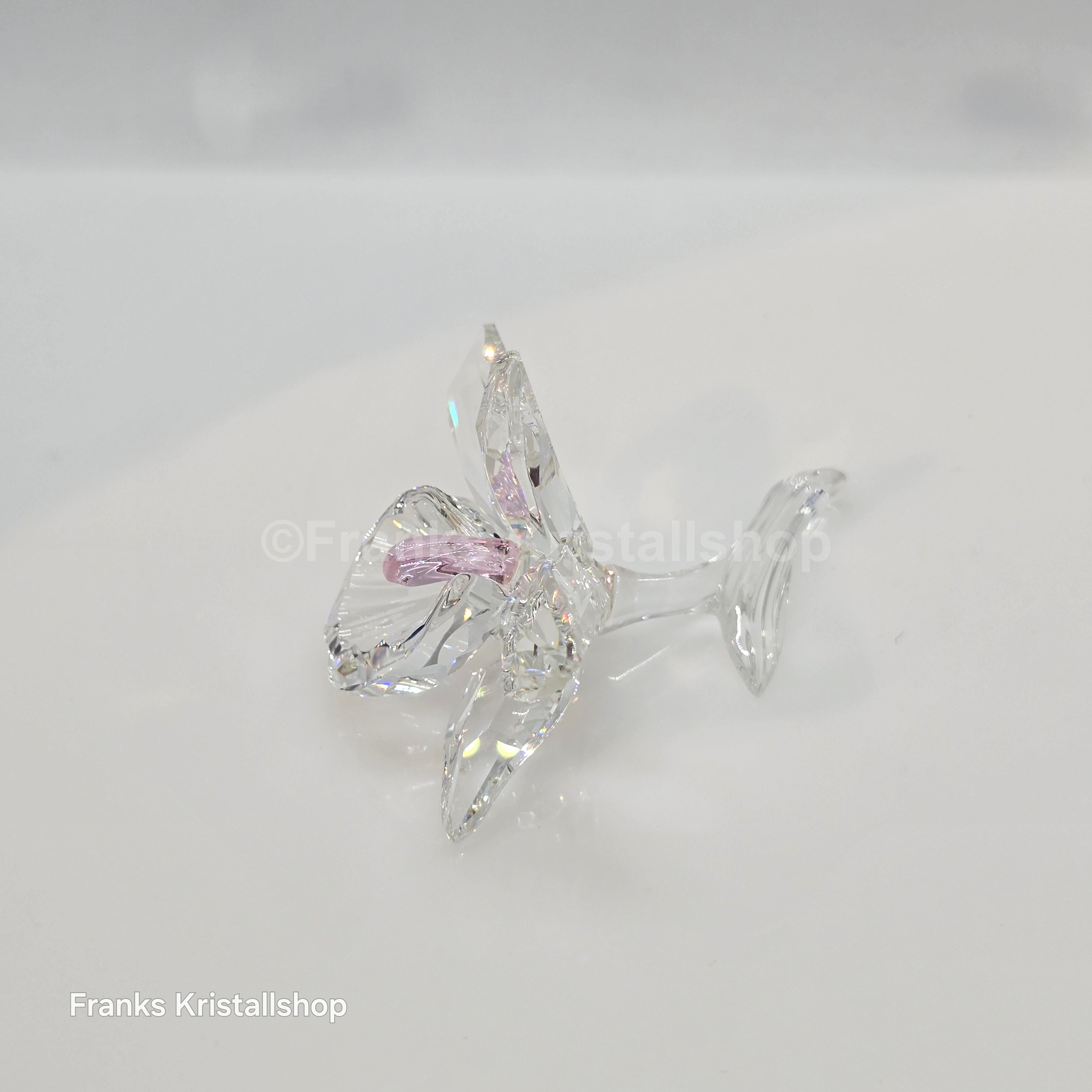 SWAROVSKI Orchidee Pink 200287 Variante 2 (Hellrosa)