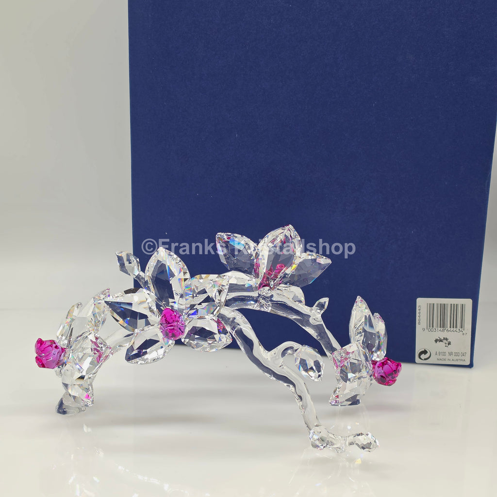 SWAROVSKI Orchideen 864443