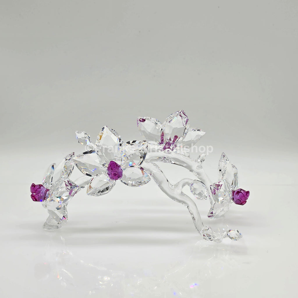 SWAROVSKI Orchideen 864443