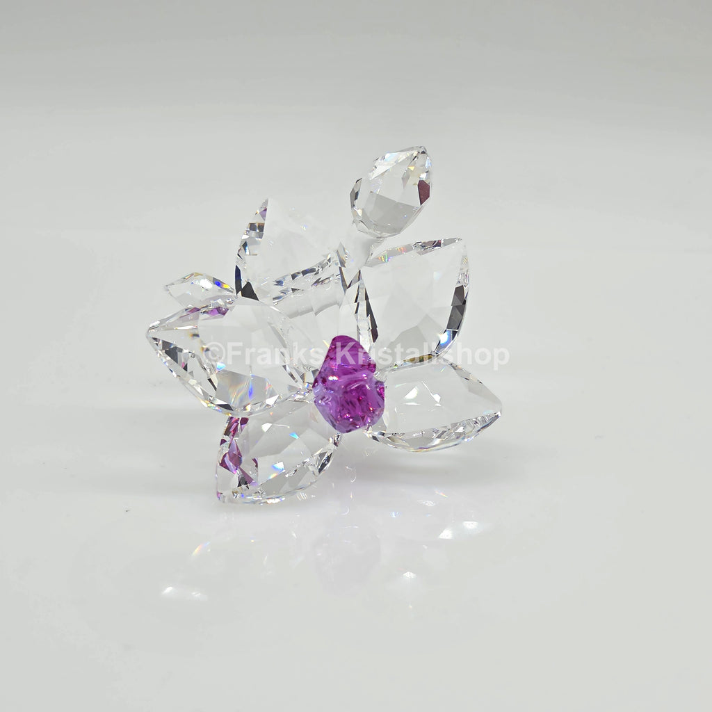SWAROVSKI Orchideenblüte 864464
