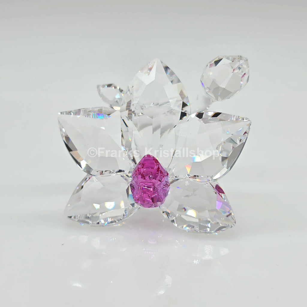 SWAROVSKI Orchideenblüte 864464