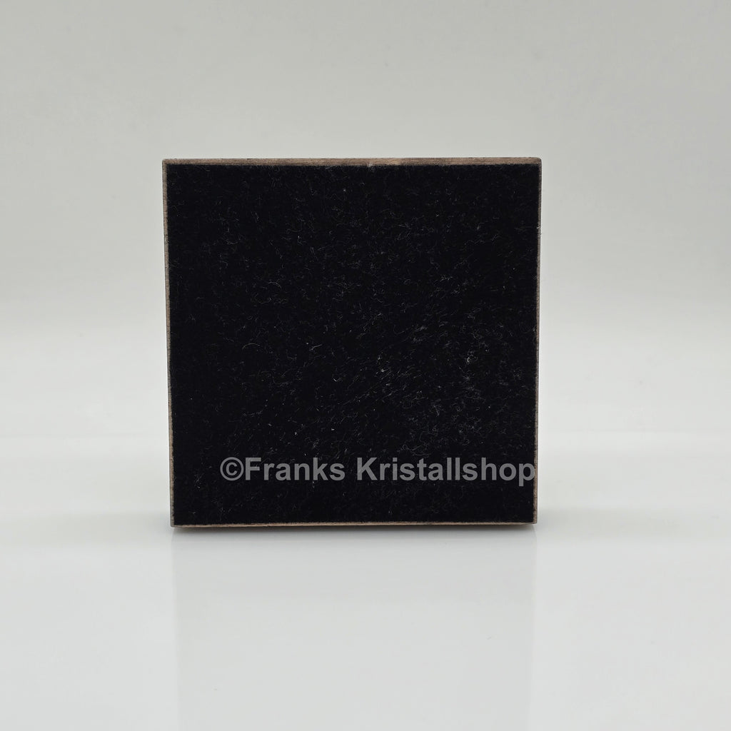 SWAROVSKI POKAL Jubiläumsschießen 1895-1995 Sportschützen