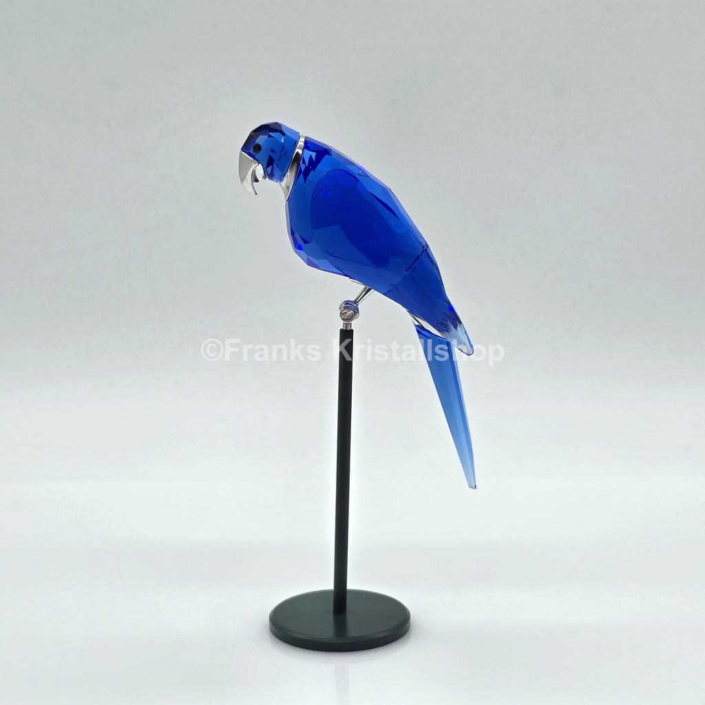 SWAROVSKI Paradise Bird Papagei Balabac Saphir 275571