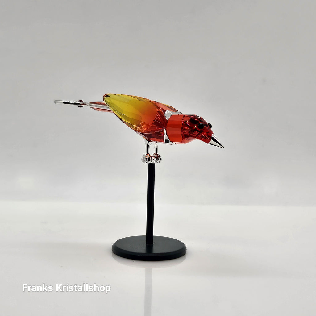 SWAROVSKI Paradise Birds Banu Hyacinth 275576