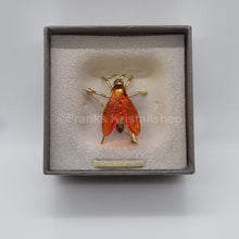 Lade das Bild in den Galerie-Viewer, SWAROVSKI Crystal Paradise Insekten Biene Amaya Brosche Klein, Vergoldet 250491
