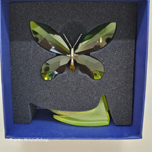 Lade das Bild in den Galerie-Viewer, SWAROVSKI Paradise Schmetterling Anamosa 622739
