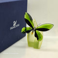 SWAROVSKI Paradise Schmetterling Anamosa 622739