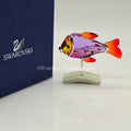 SWAROVSKI Paradise Fisch Camaret 626205 oU