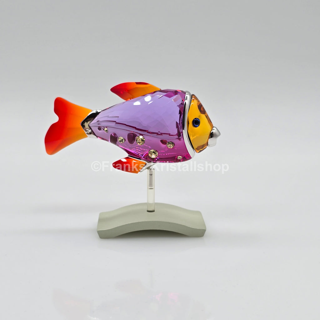 SWAROVSKI Paradise Fisch Camaret 626205 oU