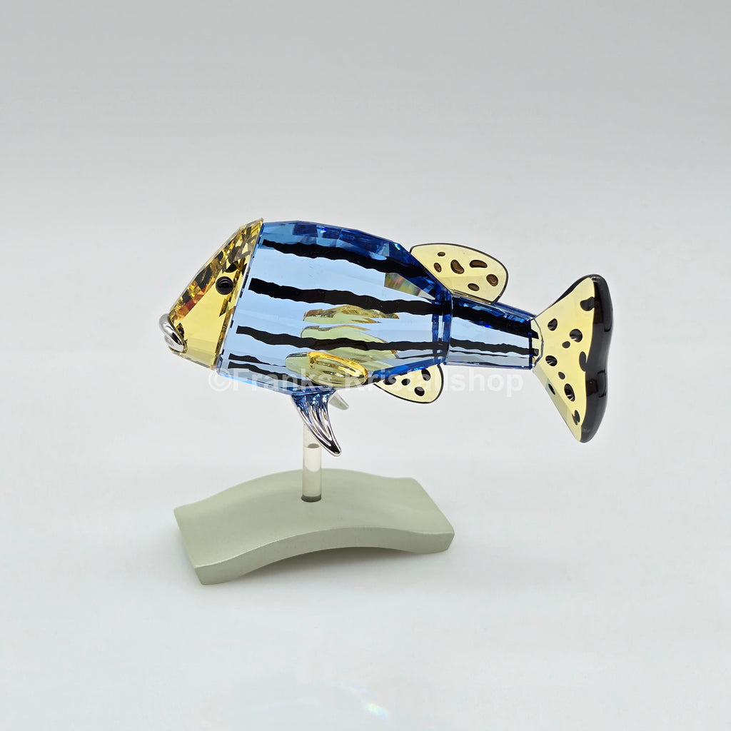 SWAROVSKI Paradise Fisch Catumbela 656974 oU