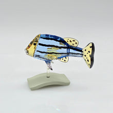 Lade das Bild in den Galerie-Viewer, SWAROVSKI Paradise Fisch Catumbela 656974 oU
