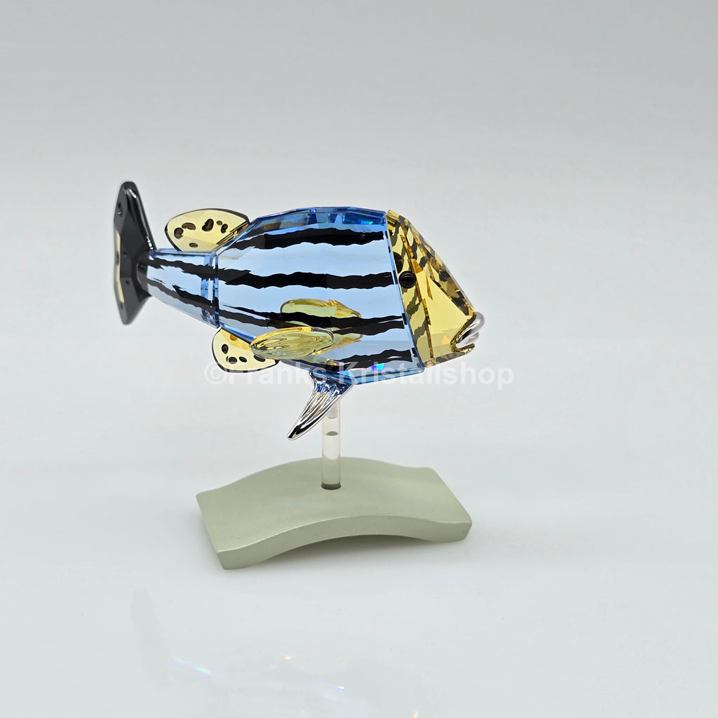 SWAROVSKI Paradise Fisch Catumbela 656974 oU