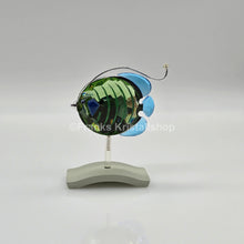 Lade das Bild in den Galerie-Viewer, SWAROVSKI Paradise Fisch Chira 626204 oU
