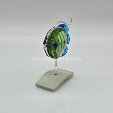 Lade das Bild in den Galerie-Viewer, SWAROVSKI Paradise Fisch Chira 626204 oU
