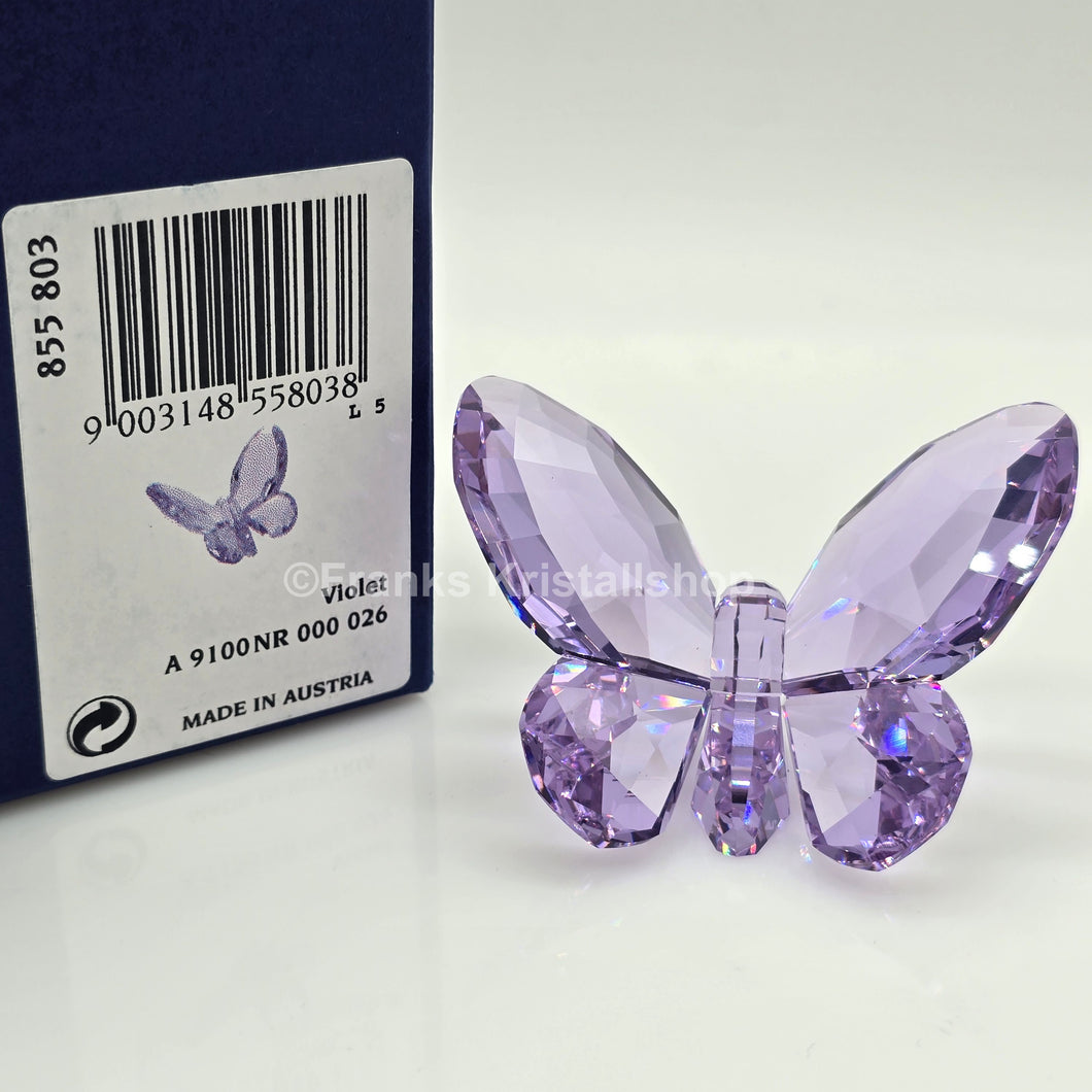 SWAROVSKI Paradise Schmetterling Violett 855803