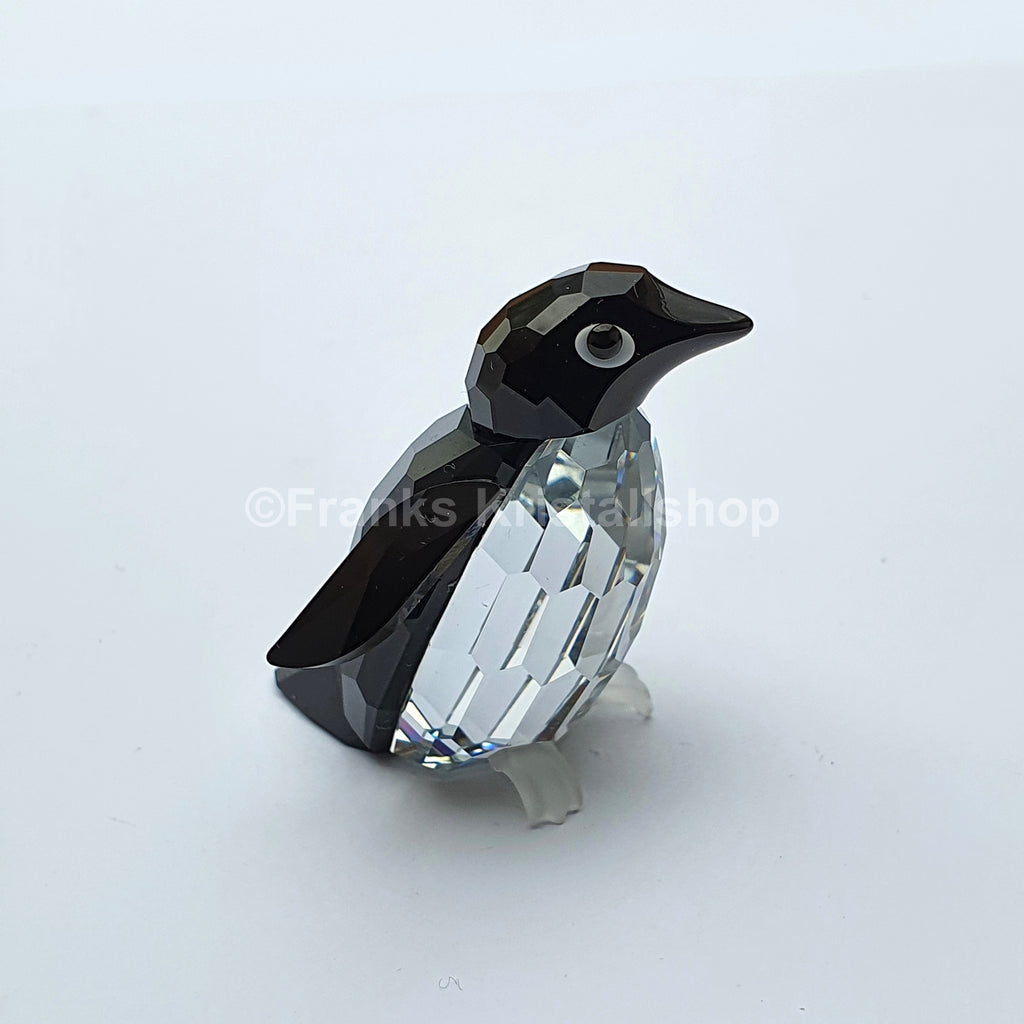 SWAROVSKI Sir Pinguin auf Eisscholle 191448