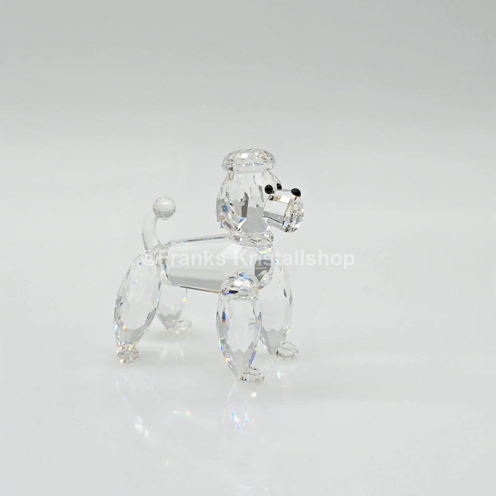SWAROVSKI Pudel Stehend 167571