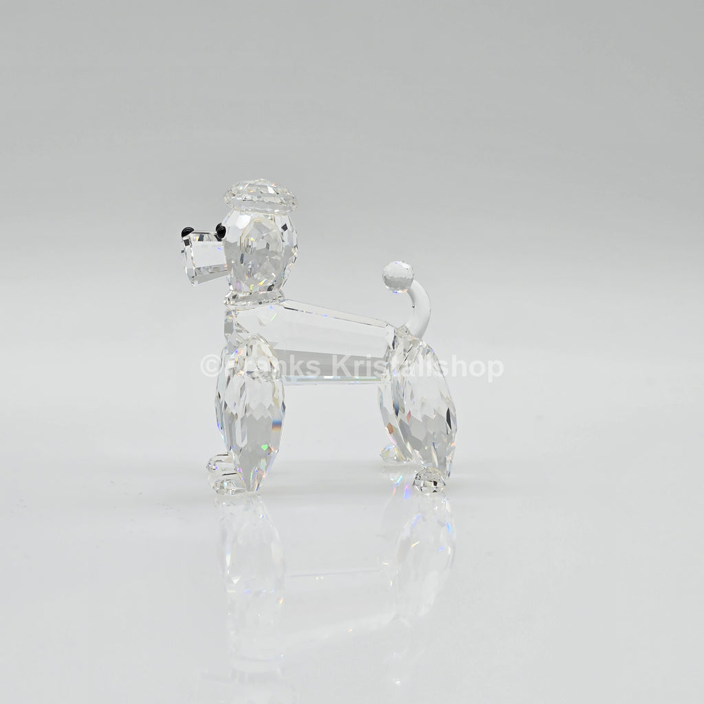 SWAROVSKI Pudel Stehend 167571
