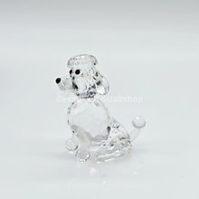 Lade das Bild in den Galerie-Viewer, SWAROVSKI Pudel sitzend 181317

